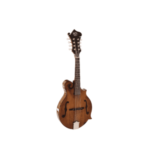 Barnes-&-Mullins-Mandolin---Salvino-Model