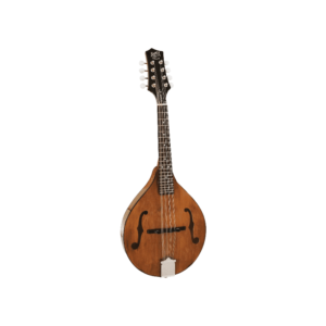 Barnes-&-Mullins-Mandolin---Wimborne-Model